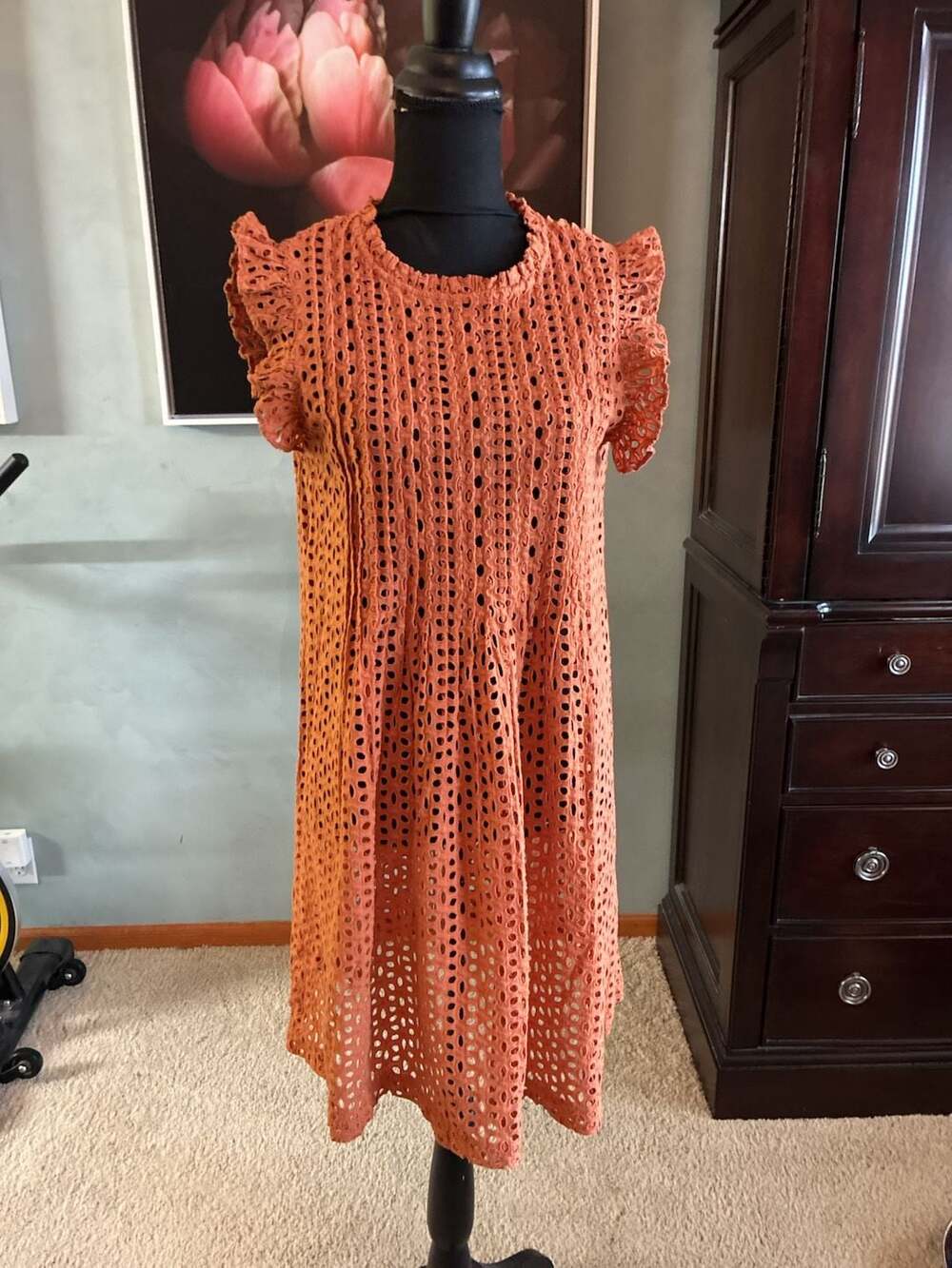 Madewell Eyelet Ruffle-Sleeve Pintuck Mini Dress in Mulled Cider Sz M A679